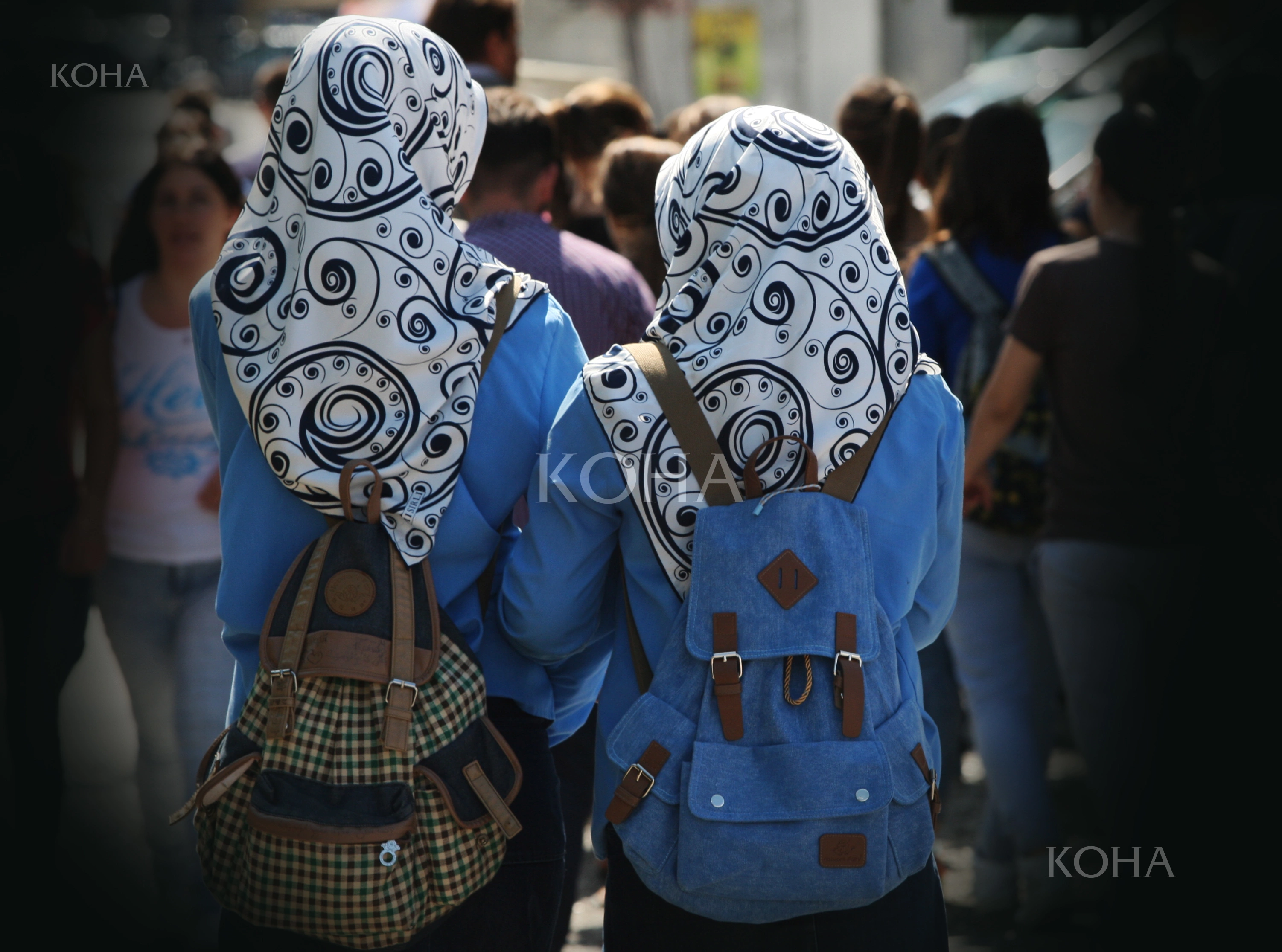 Shamia, mbulesa, shkolla