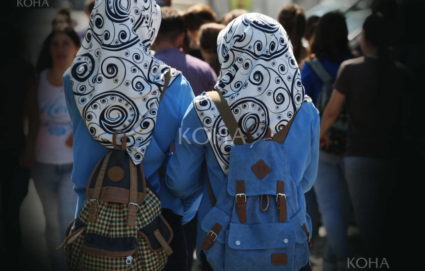 Shamia, mbulesa, shkolla