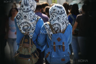 Shamia, mbulesa, shkolla