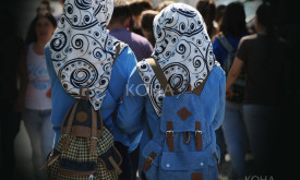 Shamia, mbulesa, shkolla