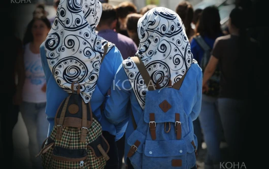 Shamia, mbulesa, shkolla