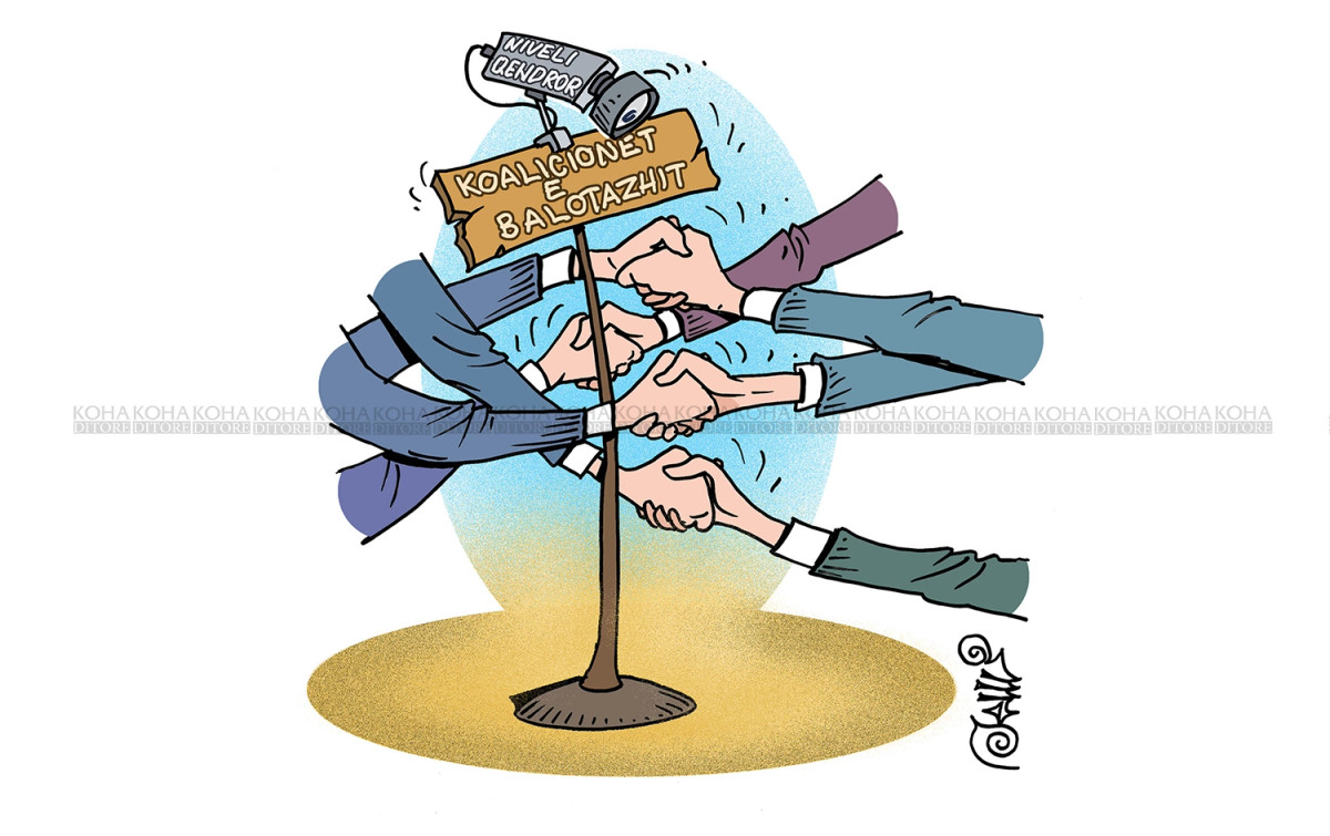 karikatura-e-dites-koalicionet-dhe-balotazhi