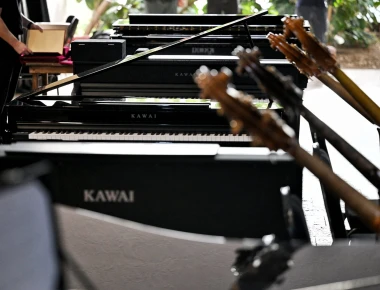 Kushtet në hije, instrumente muzikore prej gati një milion eurosh