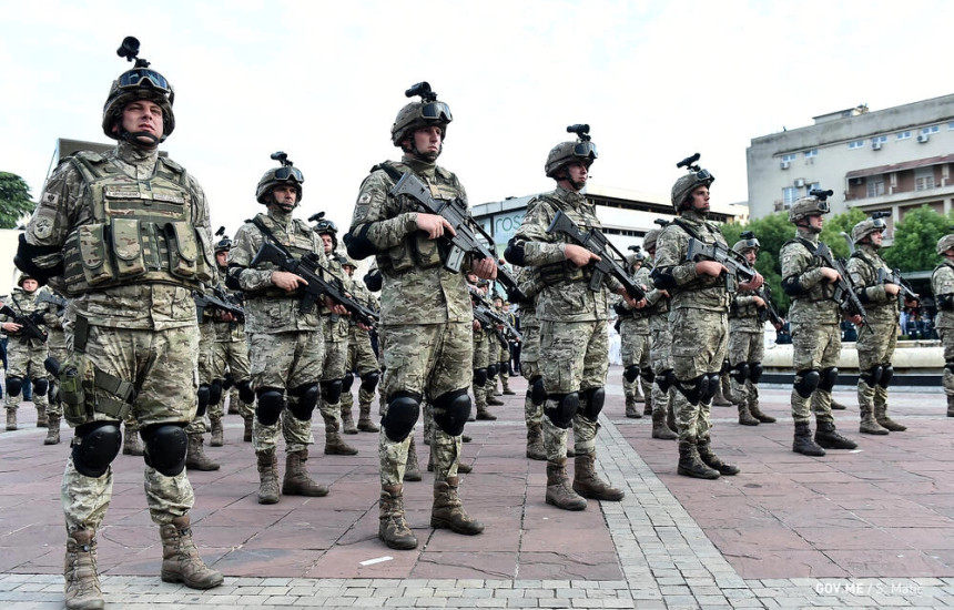 Ushtria e Malit te Zi