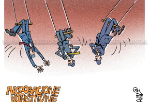 Akrobacione konstituive