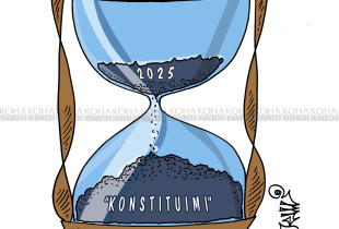 Karikatura e ditës