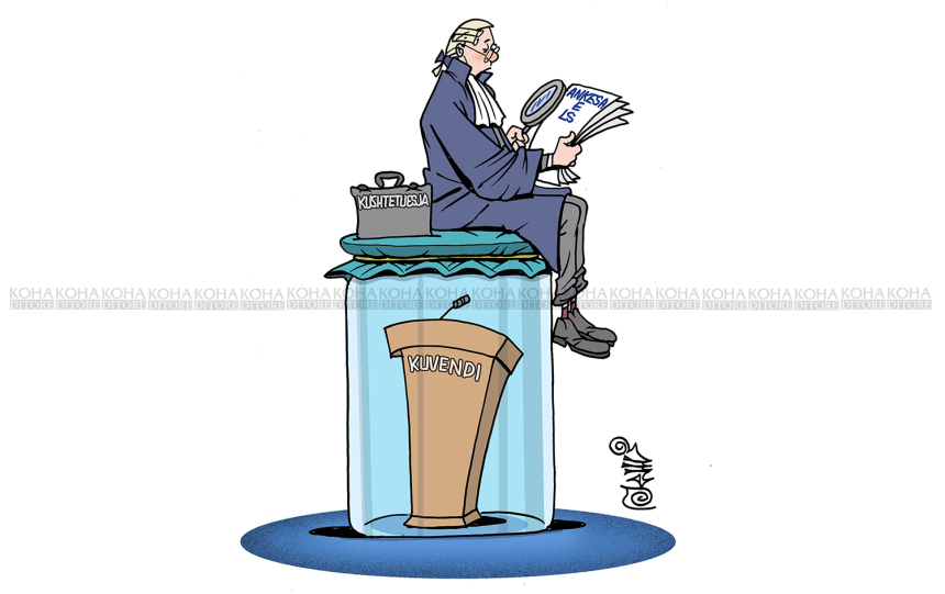 Karikatura e ditës - Kushtetuesja dhe masa e përkohshme