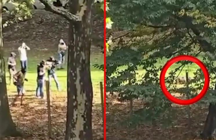 Plagosja e 17-vjeçarit nga Kosova që e theri me thikë mësuesen në Gjermani, Essen