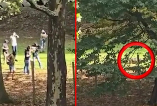 Plagosja e 17-vjeçarit nga Kosova që e theri me thikë mësuesen në Gjermani, Essen