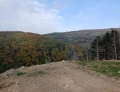 Kozhle, Novi Pazar