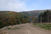 Kozhle, Novi Pazar
