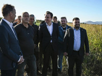 Sylejman Meholli - LVV - Albin Kurti