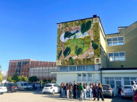muralfest