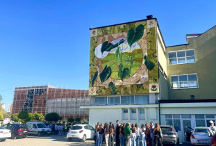 muralfest