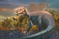 dinozaur