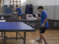 pingpong