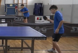 pingpong