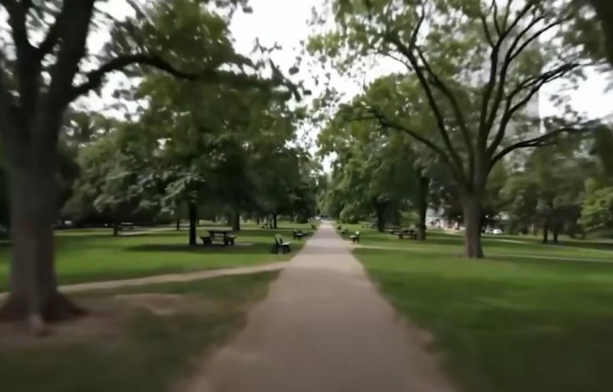 Fushata - Besa Shahini - gjelbrimi