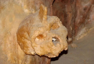 Kafka misterioze mbi 280 mijë vjeçare zbardh “njeriun e panjohur”