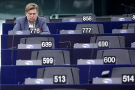 Maximilian Krah AfD