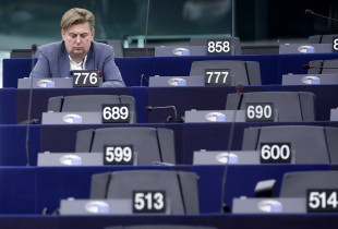Maximilian Krah AfD