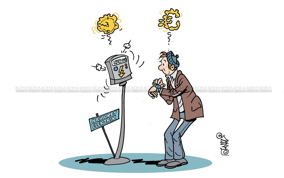 Njehsorët elektrikë