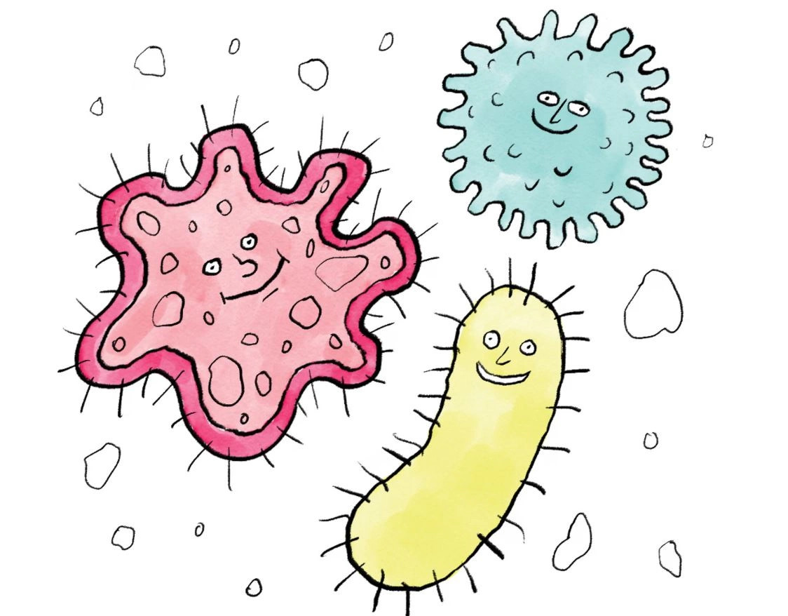 A është mikrobioma vërtet çelësi i një sistemi imunitar të fortë 