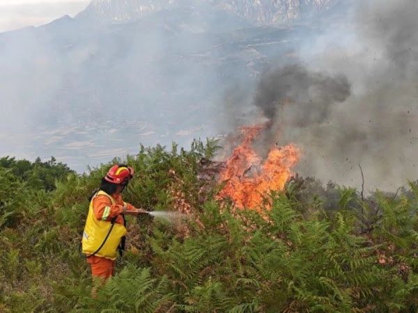 21 vatra zjarri në Shqipëri, 11 ende aktive, tri të tjera në monitorim