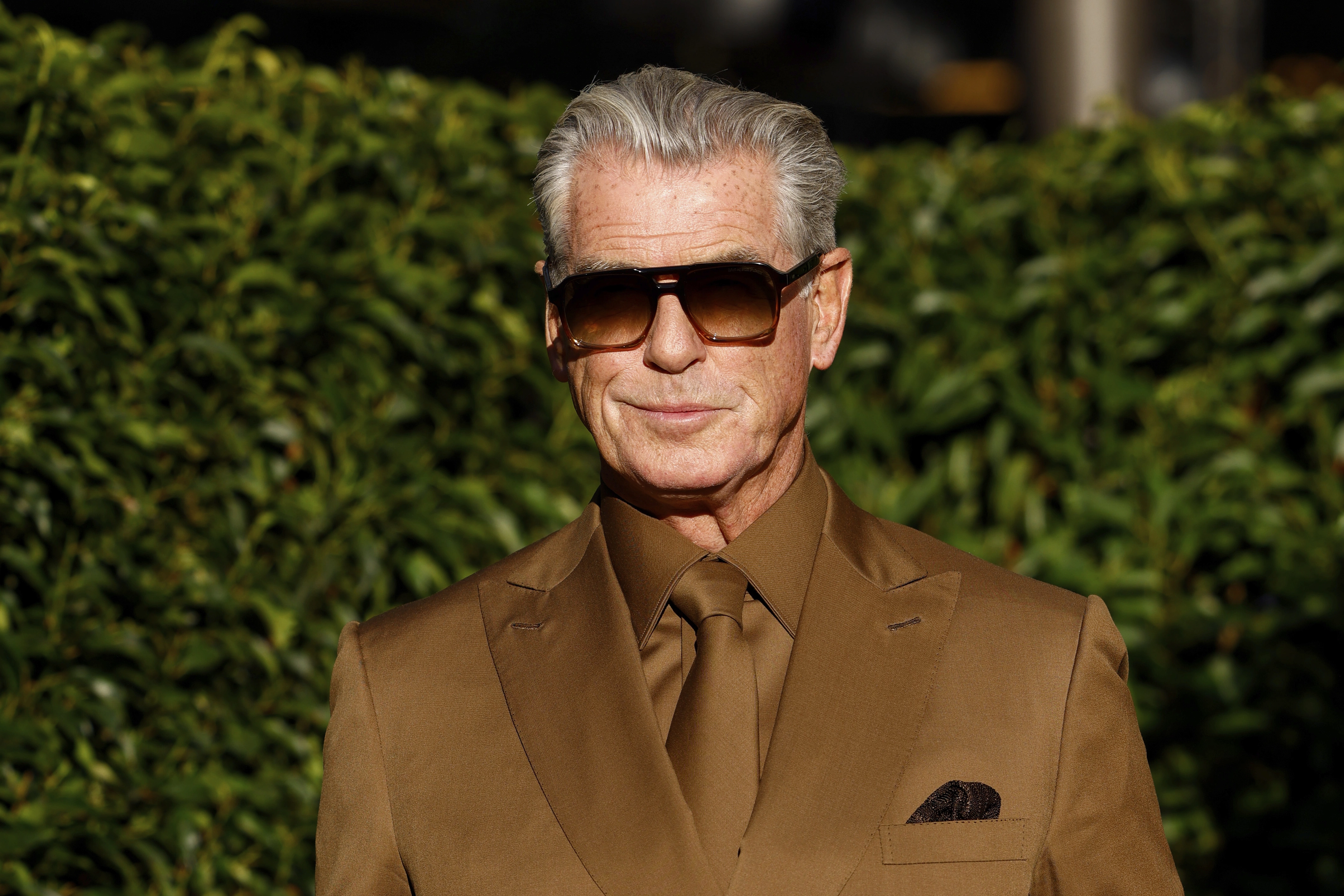 Pierce Brosnan