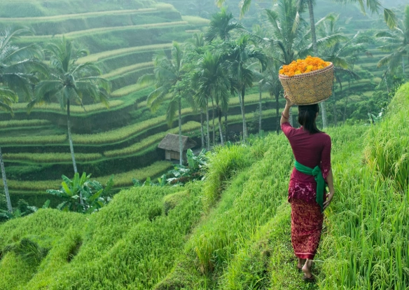 Bali