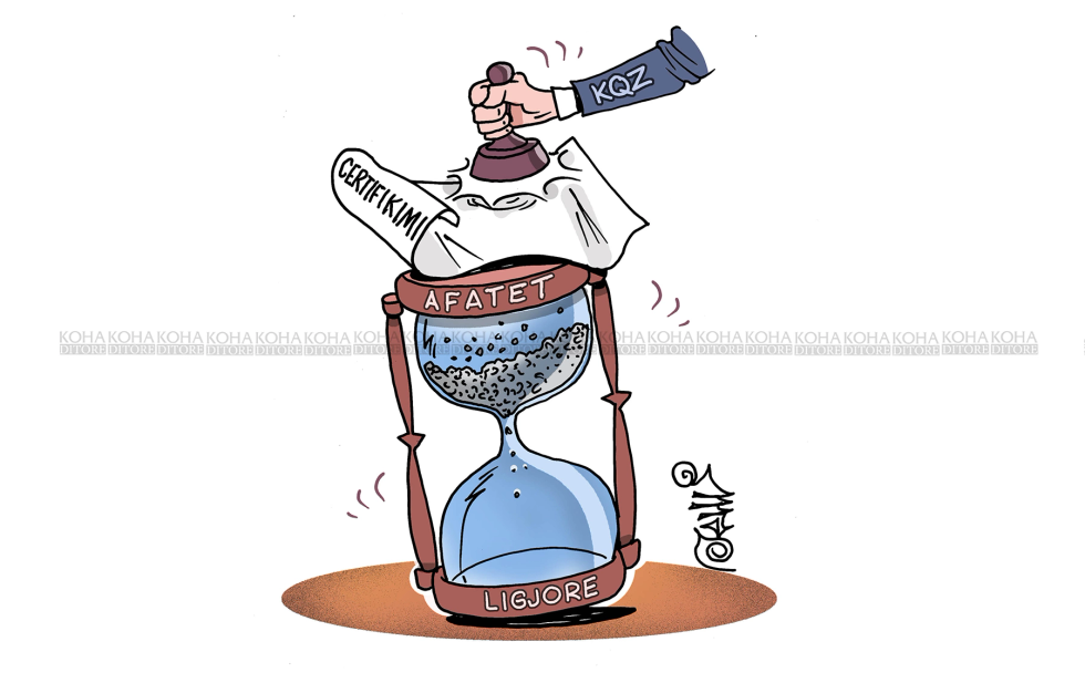Karikatura e ditës - Certifikimi dhe afatet e konstituimit