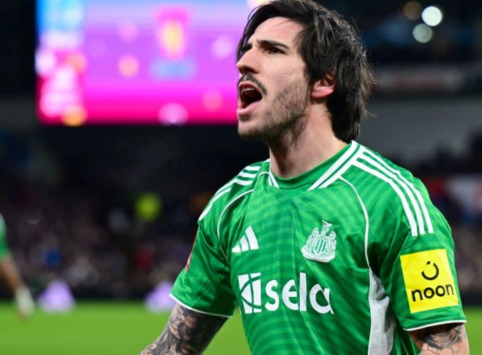 Newcastle mposht Villan  avancon në Kupën FA