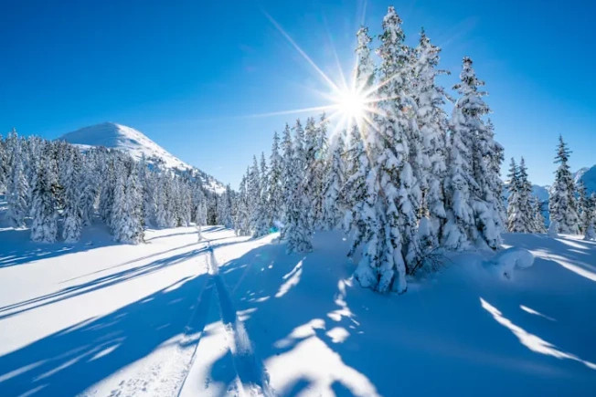 Toka është më afër diellit gjatë dimrit   disa fakte interesante rreth muajve të acartë