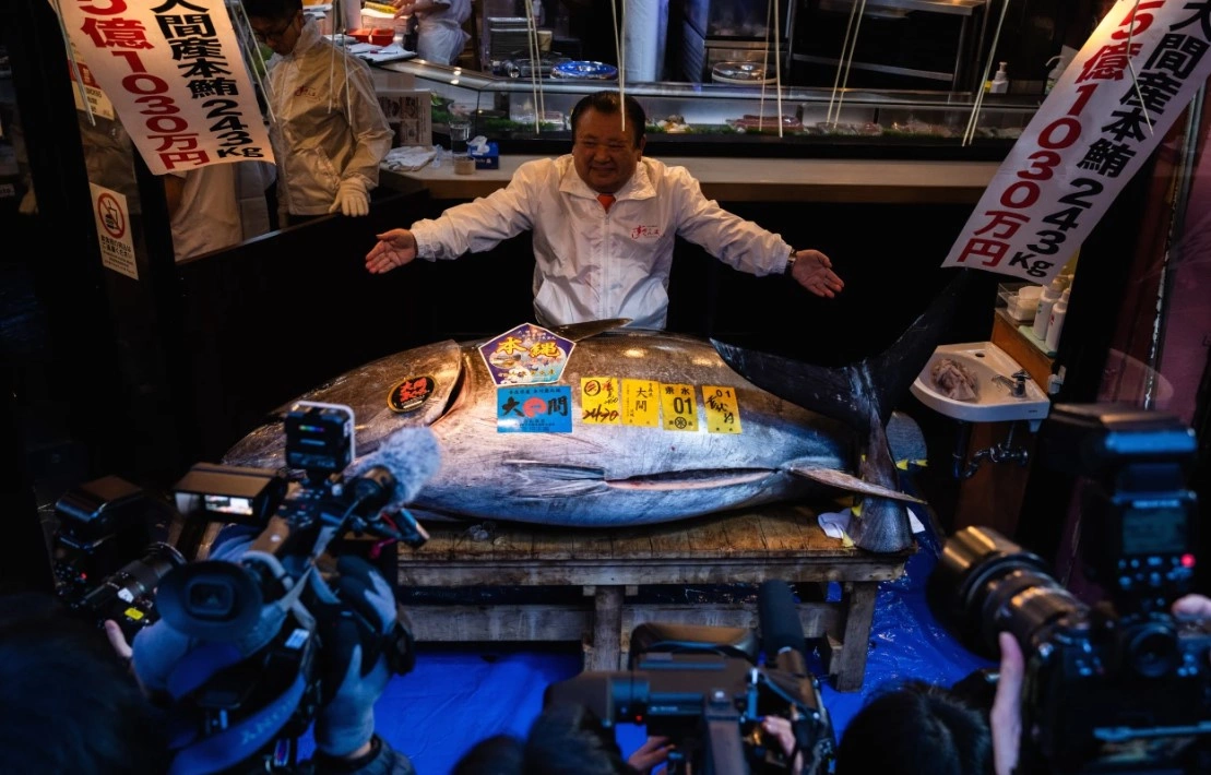 Peshku ton qe u shit 3.2 milionë dollarë