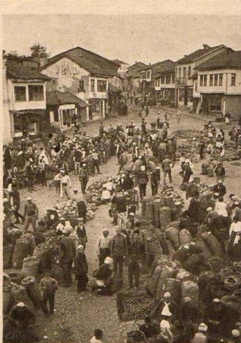 Udhëtari në Mitrovicën e 1907 s  Mezi mund t i thosha lamtumirë kësaj pamjeje të mrekullueshme