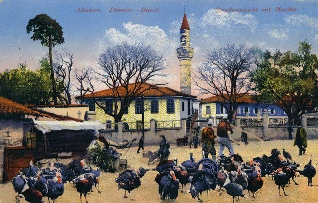 Shqipëria e viteve 1914-1918 në serinë e kartolinave të agjencisë gjermane “PurgerCo”