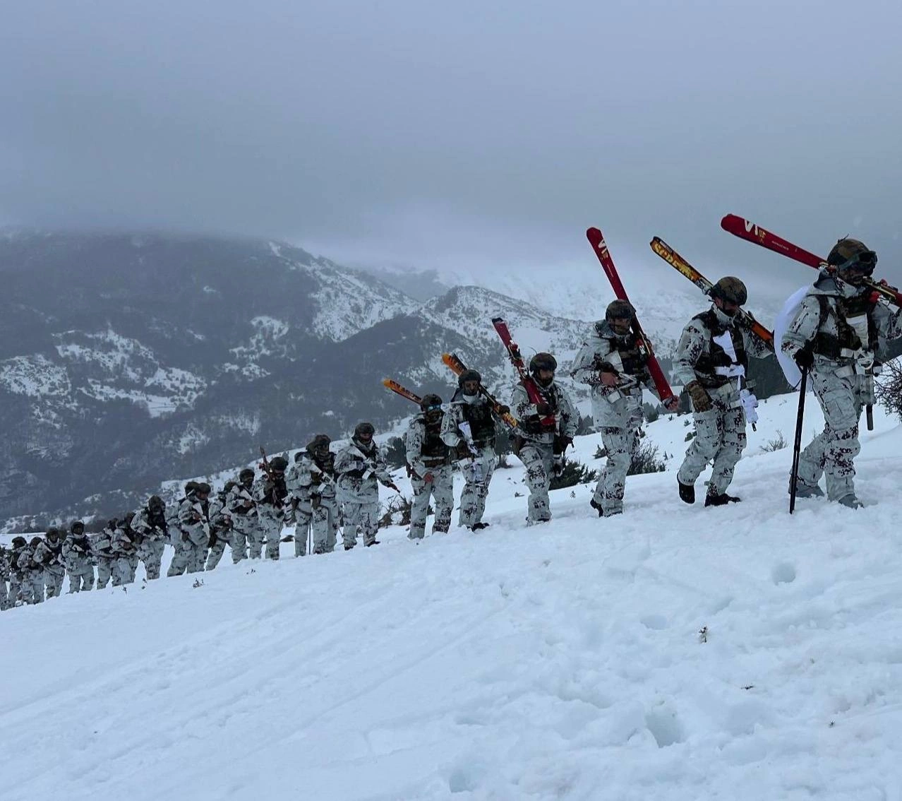 Stervitje ne bore, Ushtria e Shqiperise