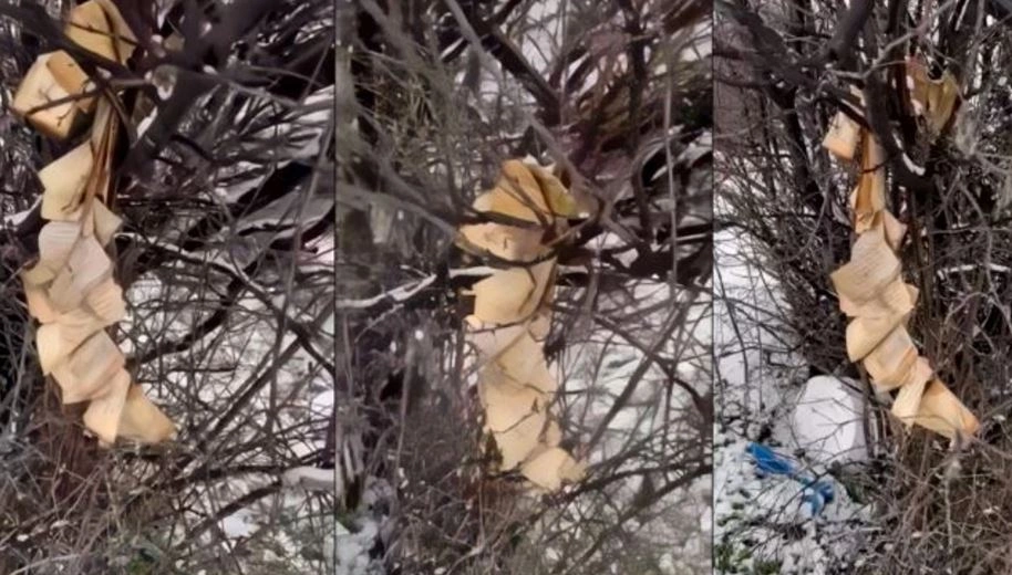 Pamje nga djegia e Kuranit në Gjakovë