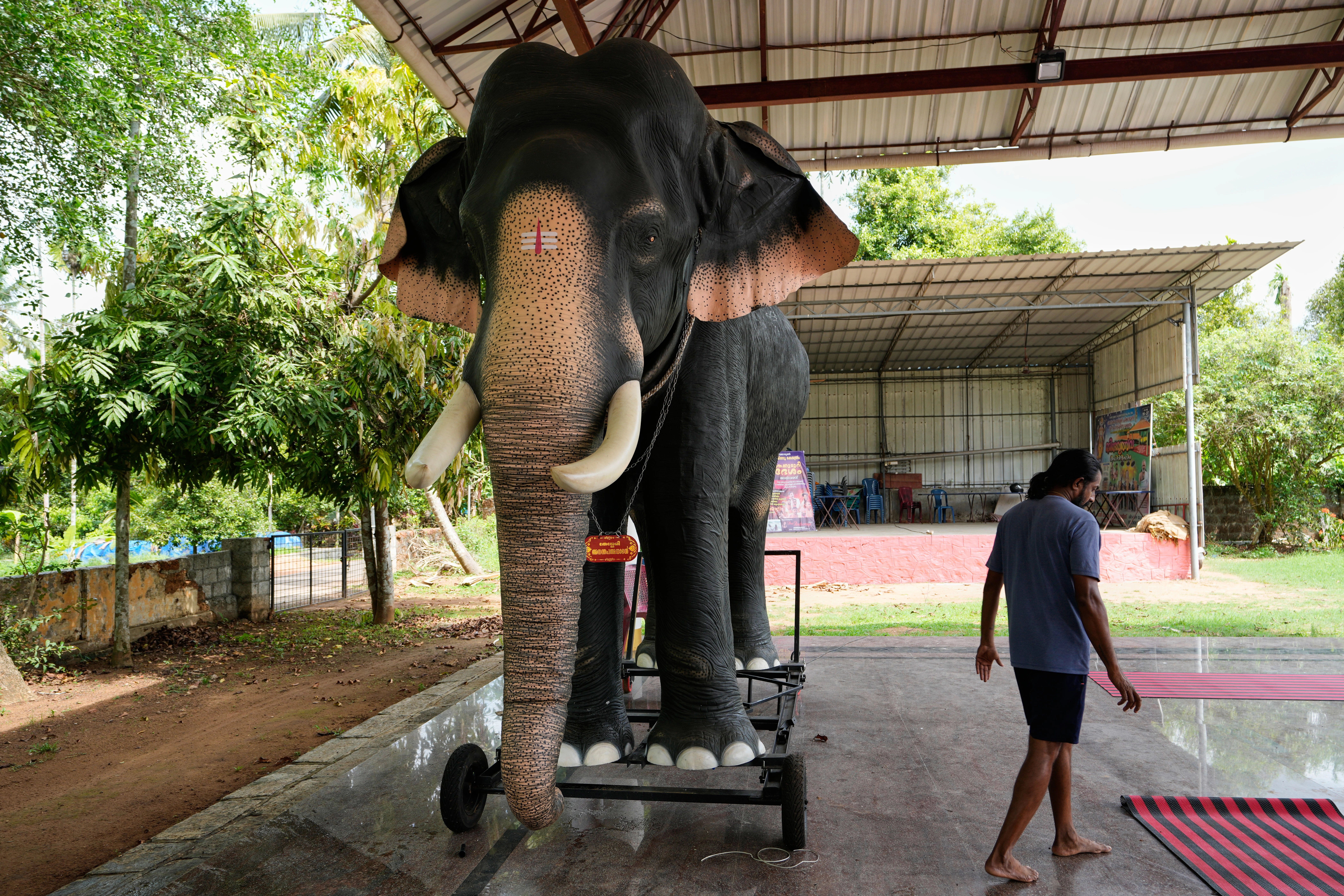 elefant robotik