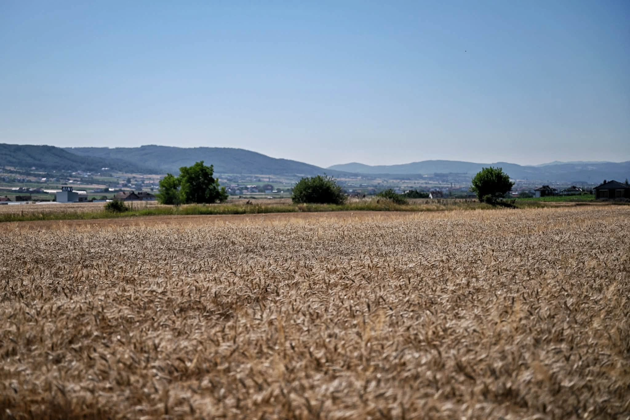 gruri