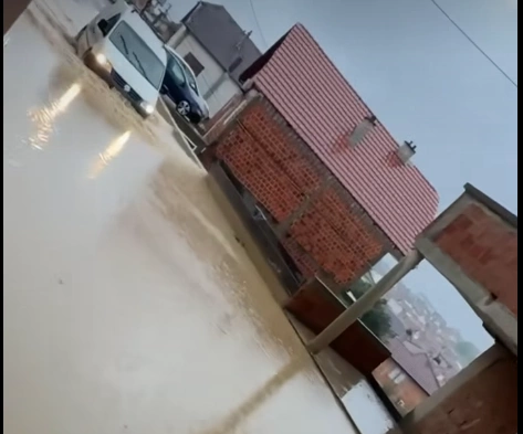 reshje
