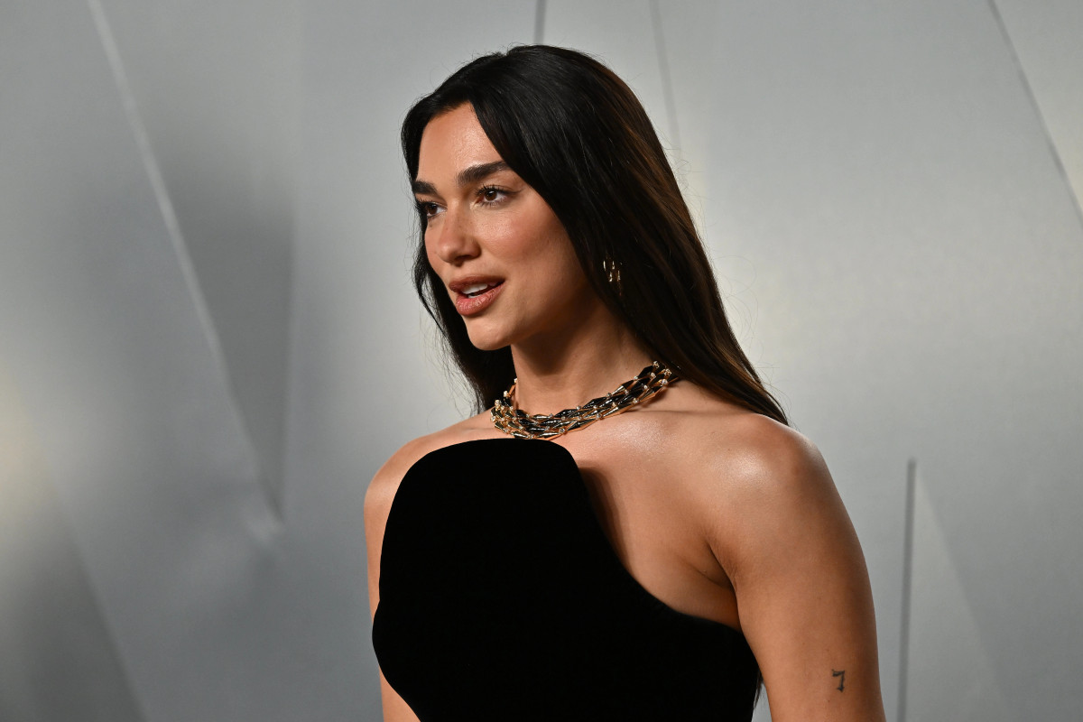 dua-lipa-flet-per-dosjet-epstein-po-perdoret-nje-lloj-perdeje-per-te-mbrojtur-dike