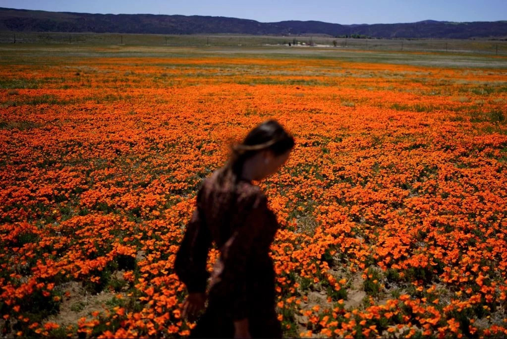 si-te-mbroheni-nga-alergjite-e-sezonit