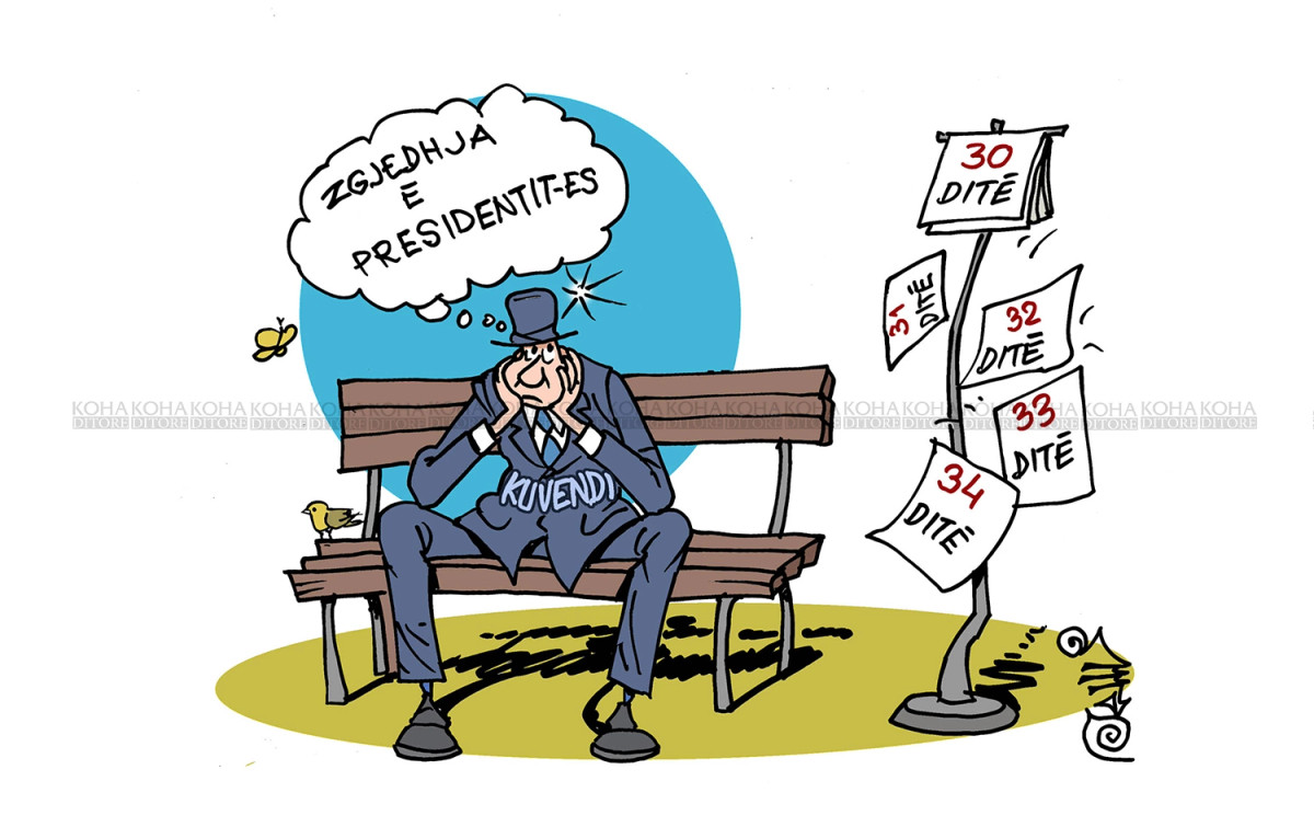 karikatura-e-dites-afati-per-kuvendin