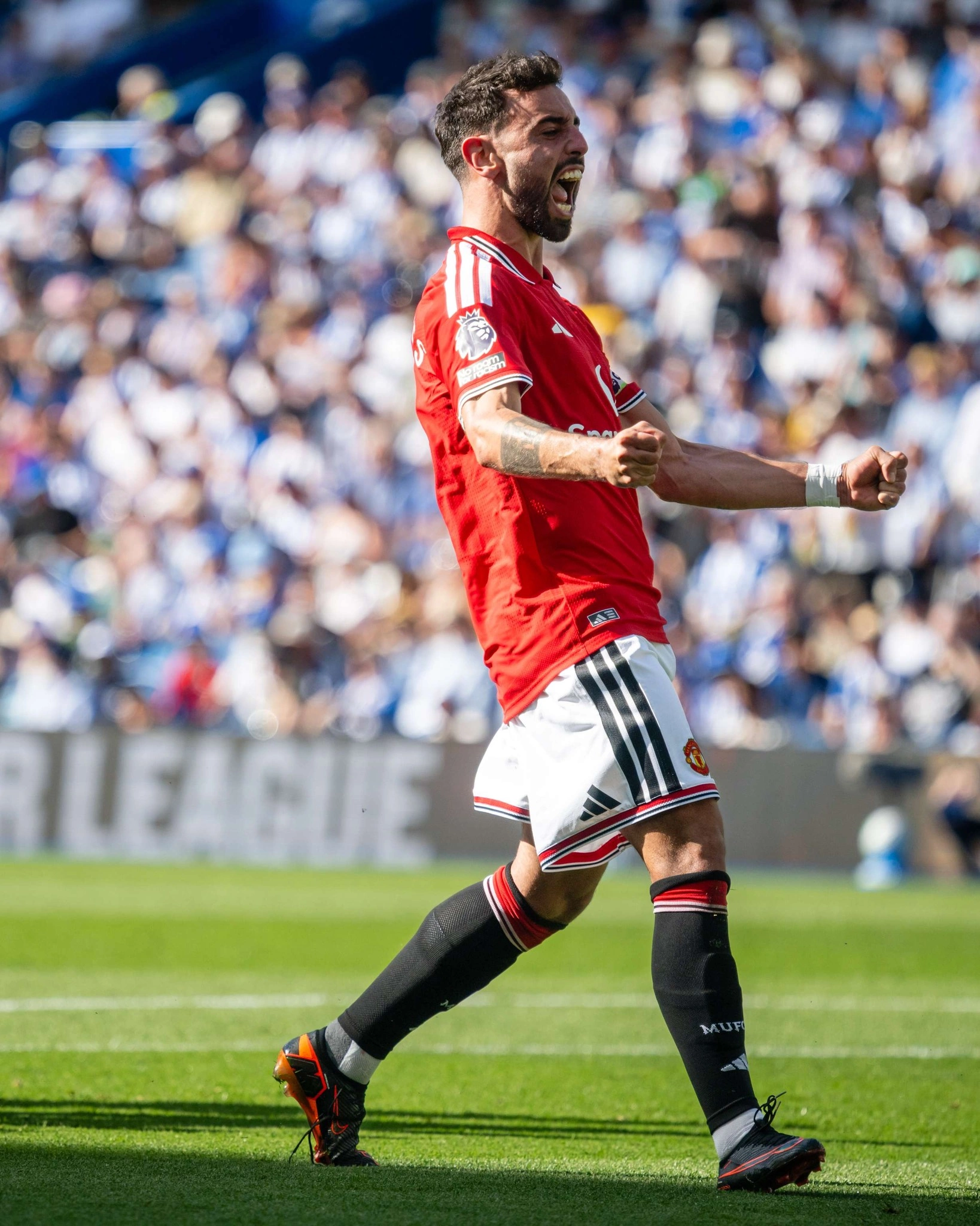 Fernandes