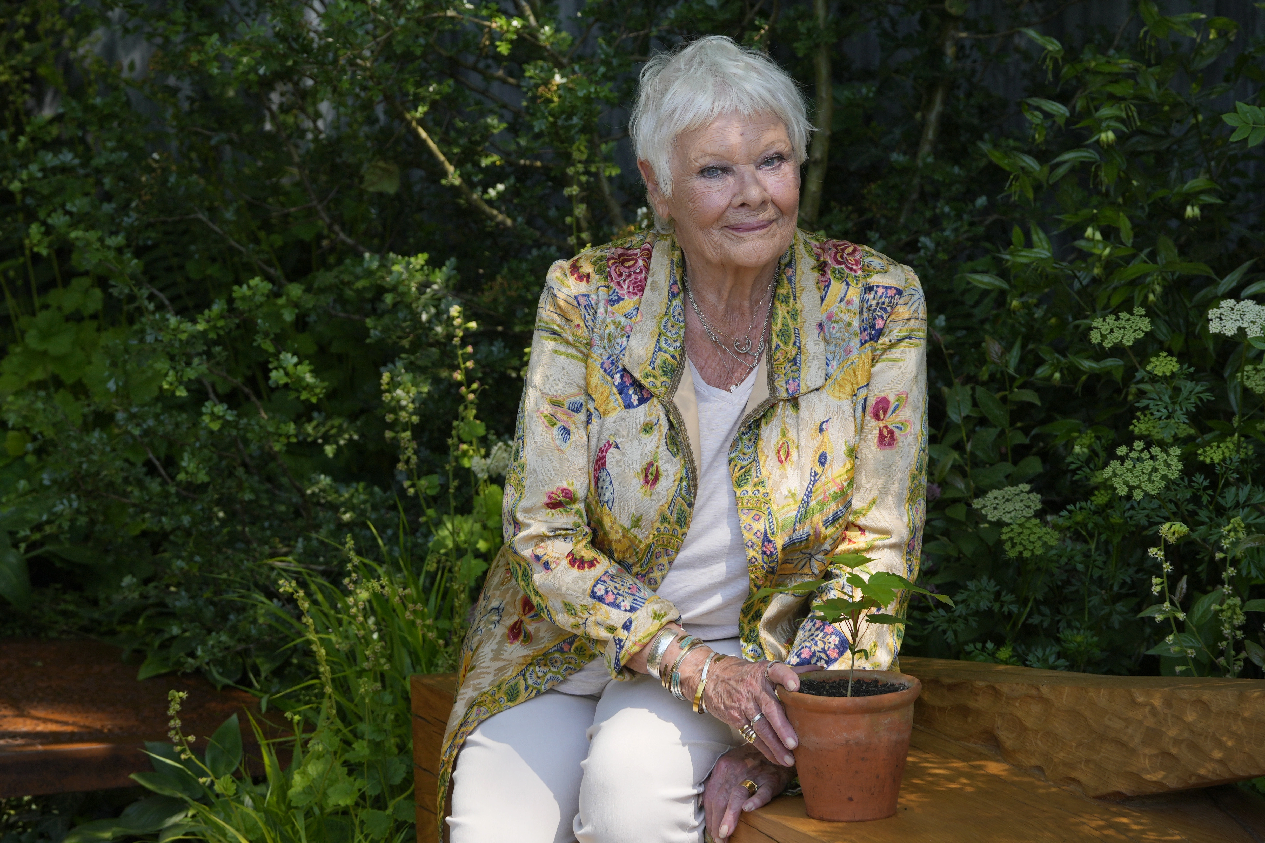 Judi Dench