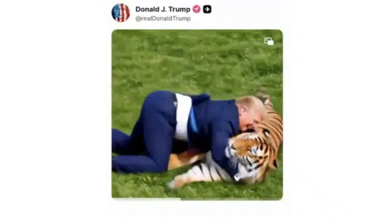 tr