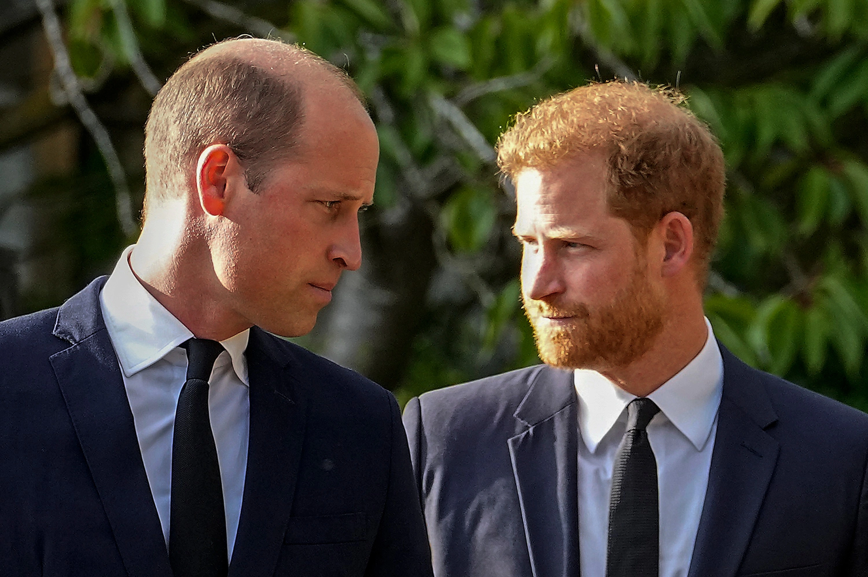 Princi William dhe princi Harry