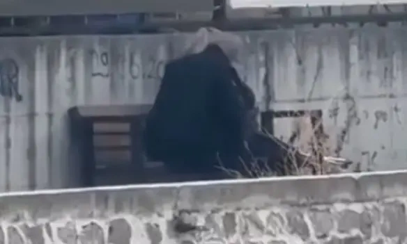Pejë
