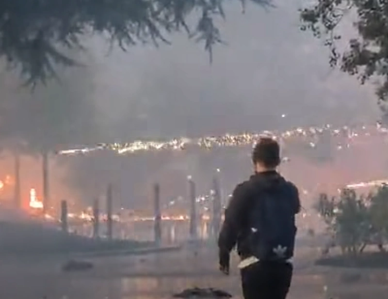 Protesta
